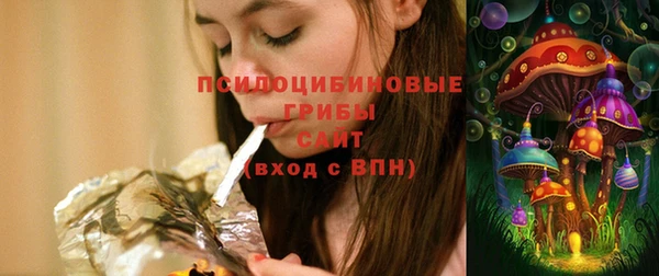 хмурый Надым