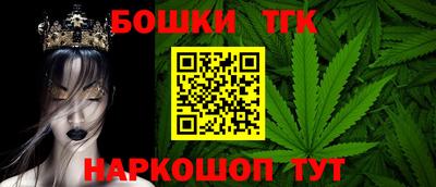 индика Можайск