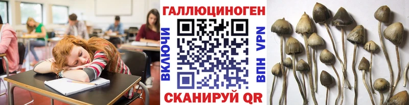 ссылка на мегу tor  Арзамас  Галлюциногенные грибы Psilocybine cubensis 